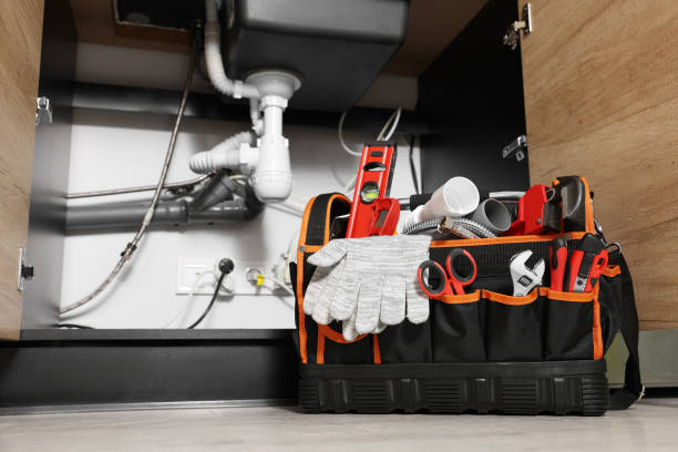 Best Leak Detection Services  in Sherrelwood, CO